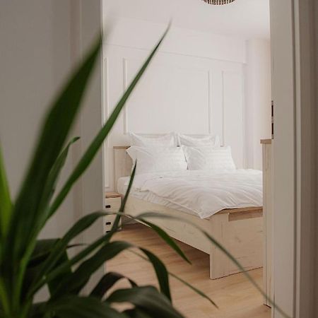 Modern Apartment In Тимишоара Екстериор снимка