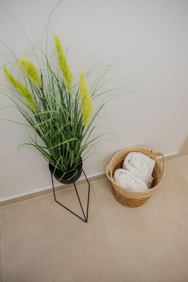 Modern Apartment In Тимишоара Екстериор снимка