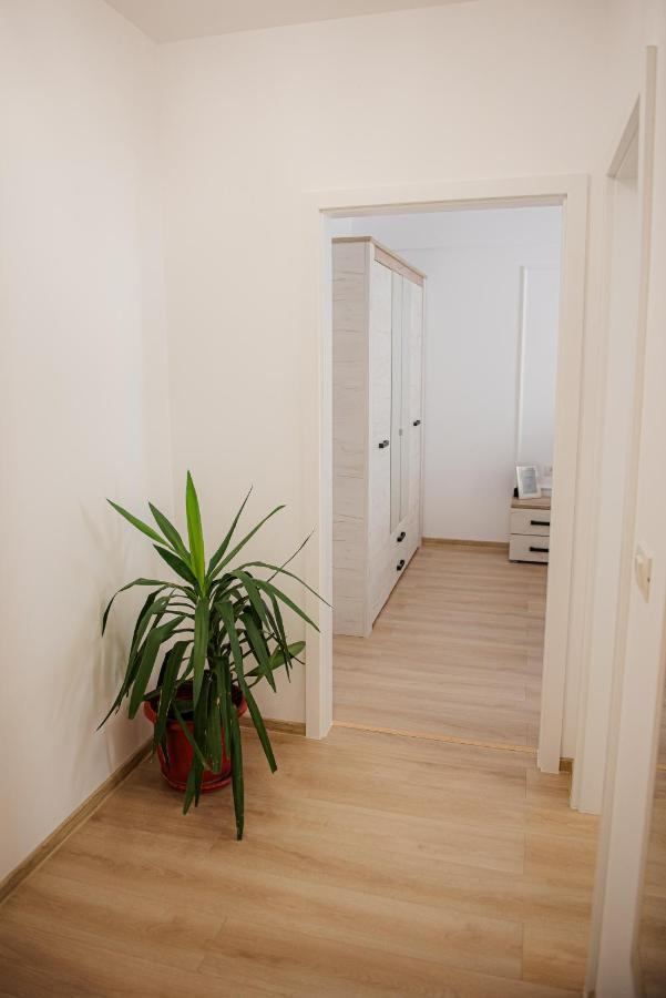 Modern Apartment In Тимишоара Екстериор снимка